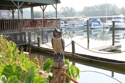 Image showing  18 in. Rotating Head Owl Animal Repeller