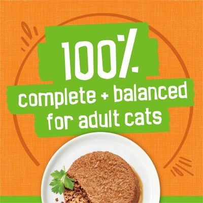 Image showing  Classic All Life Stages Turkey Pate Wet Cat Food, 5.5 oz.