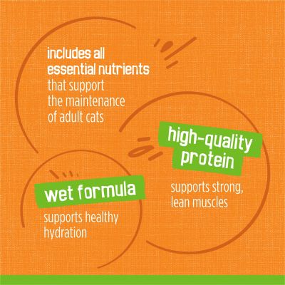 Image showing 6 th Purina Friskies Classic All Life Stages Turkey Pate Wet Cat Food, 5.5 oz.