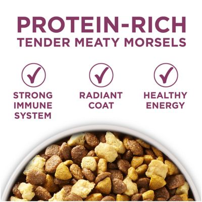 Image showing  Plus Healthy Puppy High-Protein Chicken Formula Dry Dog Food