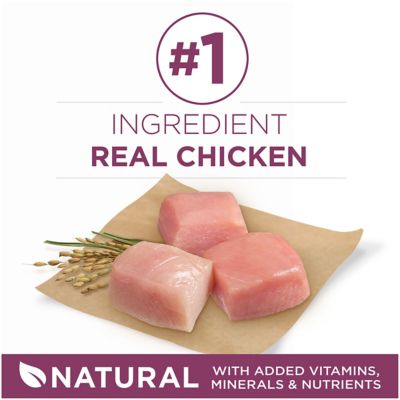 Image showing  Plus Healthy Puppy High-Protein Chicken Formula Dry Dog Food