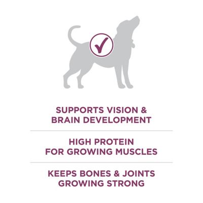 Image showing  Plus Healthy Puppy High-Protein Chicken Formula Dry Dog Food