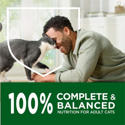 Image showing 8 th Purina Cat Chow Adult Indoor Hairball and Healthy Weight Dry Cat Food