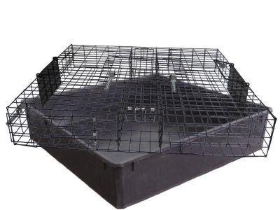 Image showing  Squirrelinator Squirrel Trap with Basin