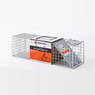 Focus On Tools 24in Single Live Animal Trap