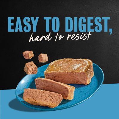 Image showing 5 th Cesar Classic Loaf Lamb Recipe in Sauce Wet Dog Food, 3.5 oz.