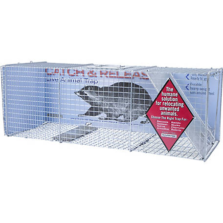 CountyLine 1-Door Catch and Release Live Animal Trap, 42 in. x 15 in. x 15  in. at Tractor Supply Co.