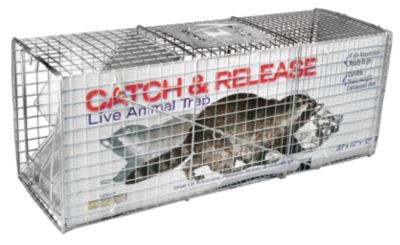 CountyLine 1-Door Catch-and-Release Live Animal Trap, 32 in. x 10 in. x 12 in.