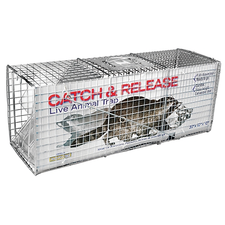 CountyLine 1-Door Catch-and-Release Live Animal Trap, 32 in. x 10