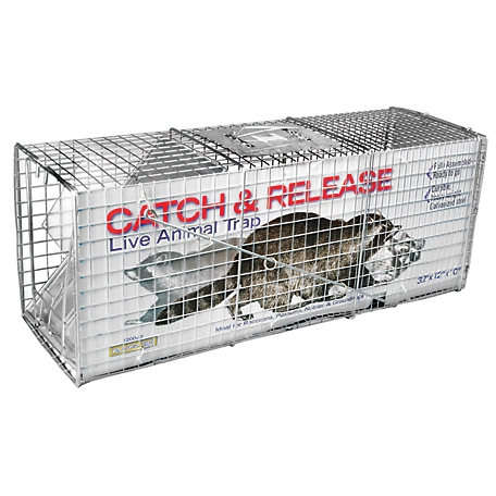 CountyLine 1-Door Catch-and-Release Live Animal Trap, 32 in. x 10 in. x 12 in.