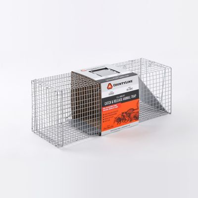Image showing  1-Door Catch-and-Release Live Animal Trap, 32 in. x 10 in. x 12 in.
