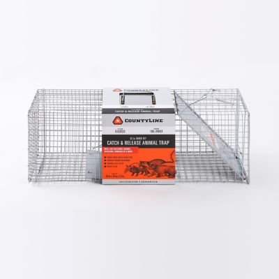 Image showing  1-Door Catch-and-Release Live Animal Trap, 32 in. x 10 in. x 12 in.