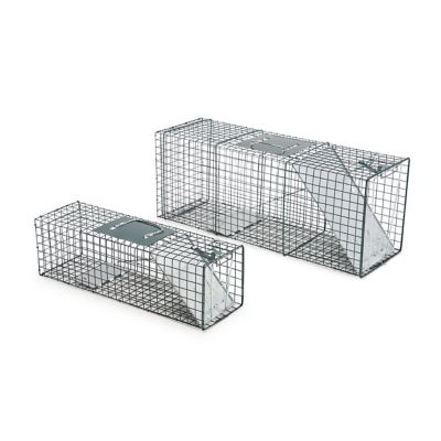 Details about   Large Live Humane Cage Trap for Squirrel Chipmunk Rat Mice Rodent Animal Catcher 