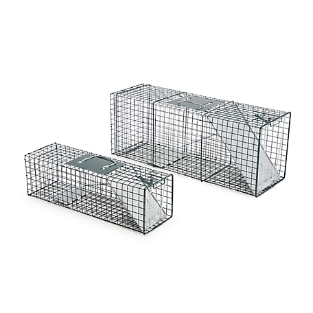 Rural King Supply - 2-pack live animal traps just rolled off the truck.  $24.99.