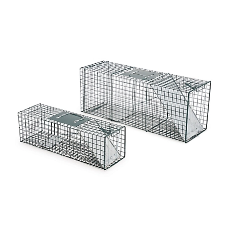 CountyLine 1-Door Catch-and-Release Live Animal Traps, 2-Pack