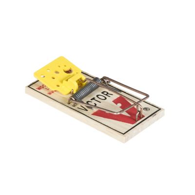 Victor Pest Easy Set Mouse Traps, 4-Pack
