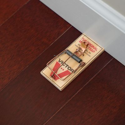 Image showing 6 th Victor Pest Metal Pedal Mouse Traps, 2-Pack