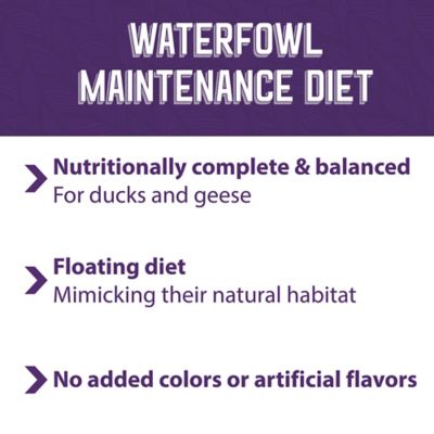 Image showing 5 th Mazuri Waterfowl Maintenance Pelleted Duck and Geese Food, 50 lb. Bag