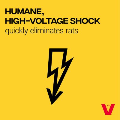 Image showing  Electronic Rat Trap