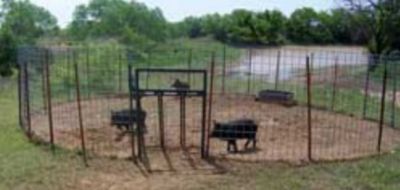 Image showing 3-Door Hog Trapping Gate, 4 ft. x 4 ft. x 3 ft.