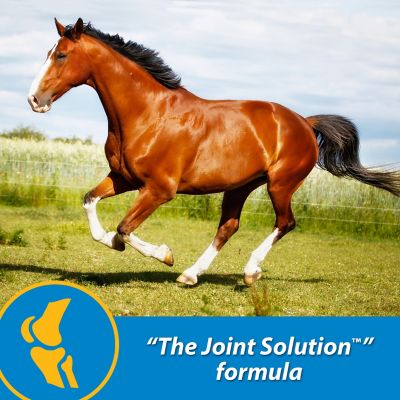 Image showing  FluidFlex Horse Joint Supplement, 1 gal.