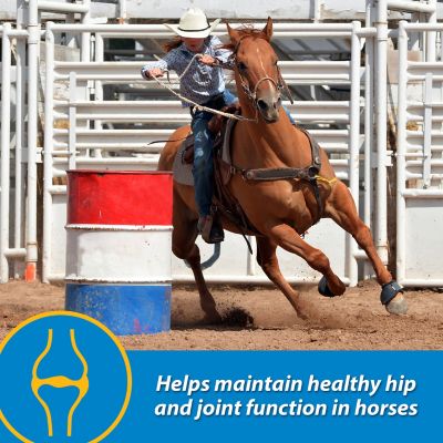 Image showing  FluidFlex Horse Joint Supplement, 1 gal.