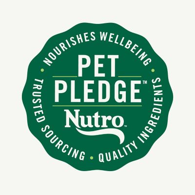 Image showing 6 th Nutro Apple Flavor Crunchy Dog Biscuit Treats, 10 oz.