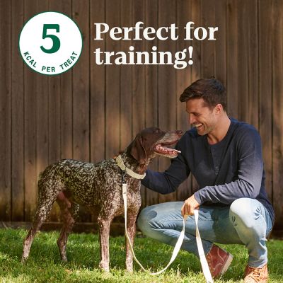 Image showing 7 th Nutro Apple Flavor Crunchy Dog Biscuit Treats, 10 oz.