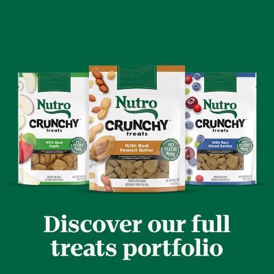 Image showing 6 th Nutro Crunchy Dog Treats with Real Mixed Berries, 10 oz. Bag