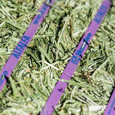Image showing 5 th Standlee Premium Western Forage Alfalfa Compressed Hay Bale, 50 lb.