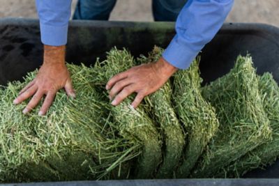 Image showing 9 th Standlee Premium Western Forage Alfalfa Compressed Hay Bale, 50 lb.