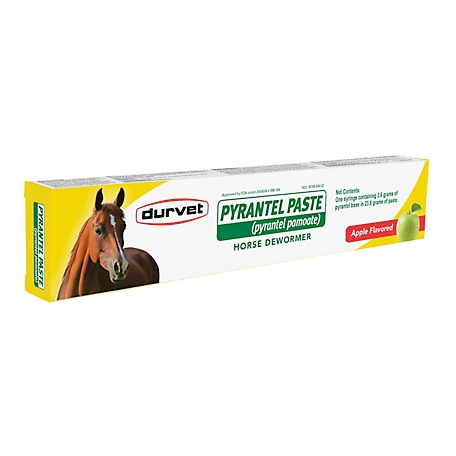 Durvet Pyrantel Paste Horse Wormer, 23.6g
