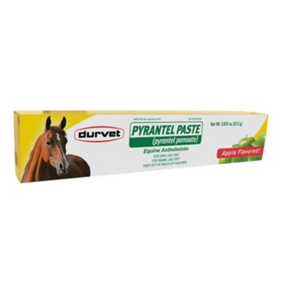 Durvet Pyrantel Paste Horse Wormer 23 6 G 387769 At Tractor Supply Co [ 400 x 400 Pixel ]