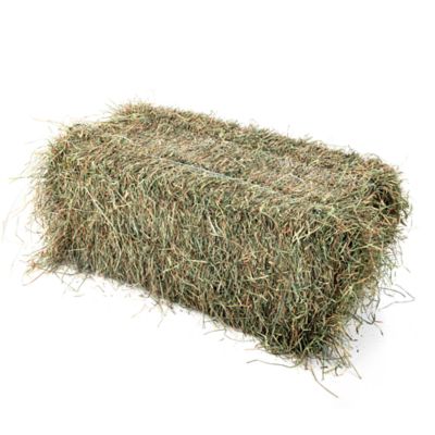 2-String Orchard Grass/Alfalfa Mix Bale