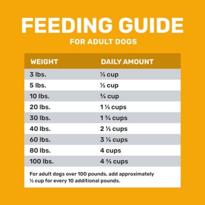 Image showing 5 th 4health with Wholesome Grains Adult Chicken and Rice Formula Dry Dog Food