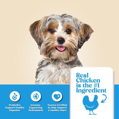 Image showing  Adult Small Breed Formula Chicken Recipe Dry Dog Food