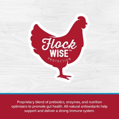 Image showing  Home Fresh Extra Egg Layer Meal, 50 lb.