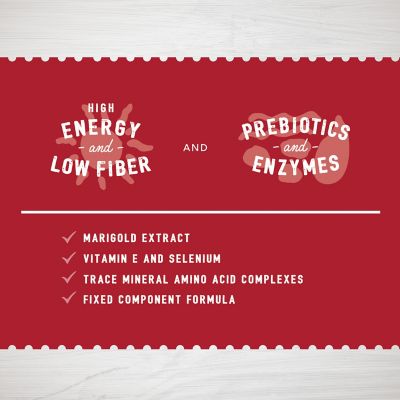 Image showing  Home Fresh Extra Egg Layer Meal, 50 lb.