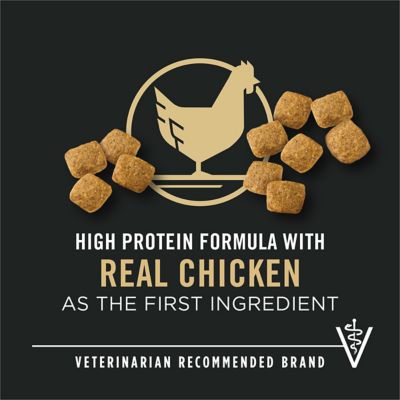 Image showing  Focus Adult Weight Management Formula Dry Dog Food