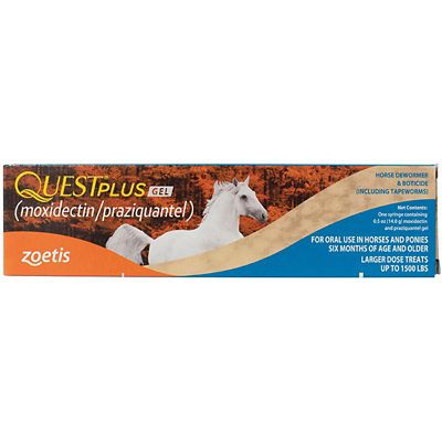 Quest Plus Horse Wormer Gel, 11.3g