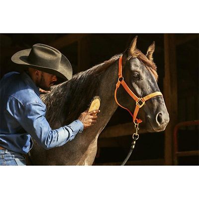 Image showing  Plus Gel Horse Dewormer and Boticide, 0.5 oz.