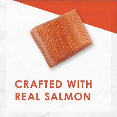 Image showing  Classic Adult Grain-Free Salmon Feast Pate Wet Cat Food, 3 oz.