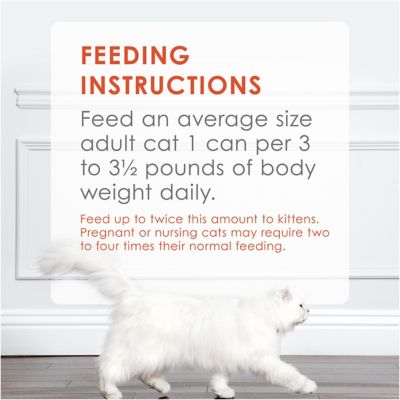 Image showing 6 th Purina Fancy Feast Classic Adult Grain-Free Salmon Feast Pate Wet Cat Food, 3 oz.