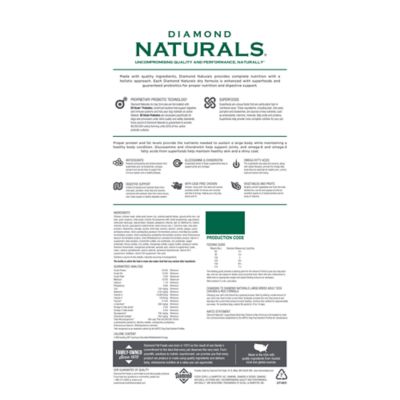 Image showing  Large Breed Adult Chicken and Rice Formula Dry Dog Food, 40 lb.