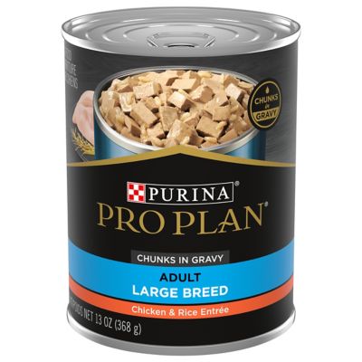 Purina Pro Plan Focus Large Breed Chicken and Rice Entree Chunks in Gravy Adult Wet Dog Food, 13 oz. Can