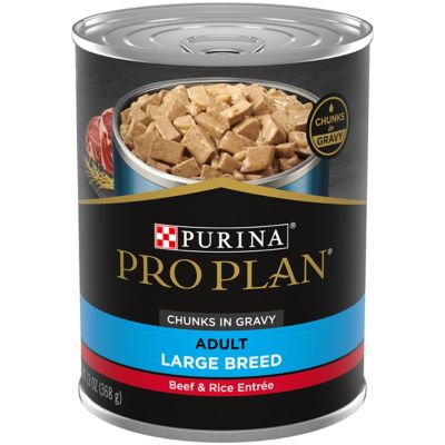 Purina Pro Plan Gravy Wet Dog Food for Large Dogs, Large Breed Beef and Rice Entree With beef for protein and rice that's he can digest, this is a great dog food packed with nutrients that can also help his immune system! 