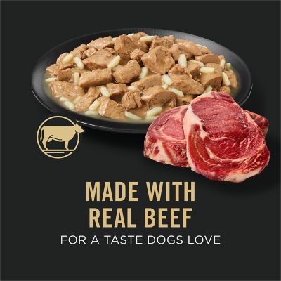 Image showing  Large Breed Adult Beef and Rice in Gravy Recipe Wet Dog Food, 13 oz.