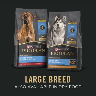 Image showing 6 th Purina Pro Plan Large Breed Adult Beef and Rice in Gravy Recipe Wet Dog Food, 13 oz.