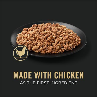 Image showing  Adult High-Protein Chicken and Rice Entree Pate Wet Dog Food, 13 oz.
