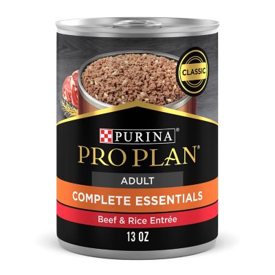 Purina Pro Plan Adult High-Protein Beef and Rice Entree Pate Wet Dog Food, 13 oz.